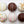 Bulk Cake Balls - 72 Count